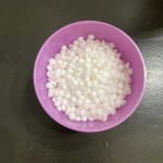 View Gallery Image #10