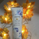 View Gallery Image #7