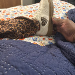 View Gallery Image #6