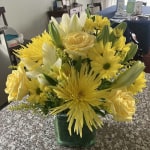 USAダイワ　タトゥーラ Healing Tears™ Blue & White | Sympathy Flowers Delivered