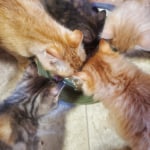 View Gallery Image #9