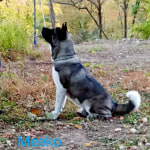 View Gallery Image #8