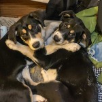 View Gallery Image #3