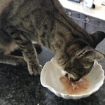 View Gallery Image #14