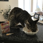 View Gallery Image #15