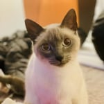 View Gallery Image #13