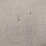 View Gallery Image #5