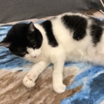 View Gallery Image #13