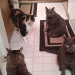 View Gallery Image #9