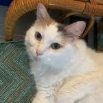 View Gallery Image #1