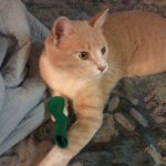 View Gallery Image #2