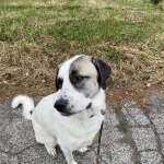 View Gallery Image #13