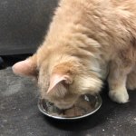 View Gallery Image #5