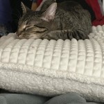 View Gallery Image #13