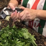 pampered chef garlic peeler｜TikTok Search