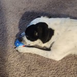 View Gallery Image #9