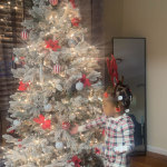 View Gallery Image #12