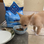 View Gallery Image #15