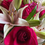 ♡Rose rose♡ Senorita Roses - 25st. - Ramirez Wholesale Flowers Inc
