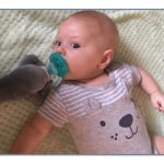 View Gallery Image #4