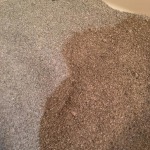 View Gallery Image #6