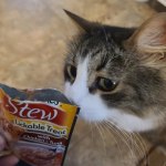 View Gallery Image #8