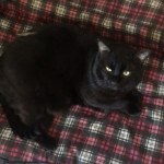 View Gallery Image #2