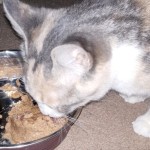 View Gallery Image #12