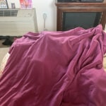 View Gallery Image #9