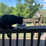 View Gallery Image #3