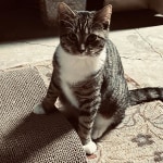 View Gallery Image #2