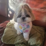 View Gallery Image #3