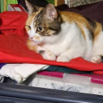 View Gallery Image #8