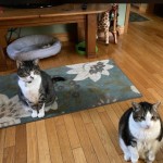 View Gallery Image #2