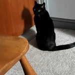 View Gallery Image #2