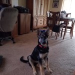 View Gallery Image #9