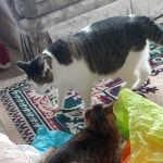 View Gallery Image #1