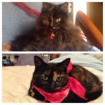 View Gallery Image #3