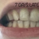 View Gallery Image #13