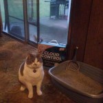 View Gallery Image #8