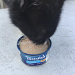 View Gallery Image #12