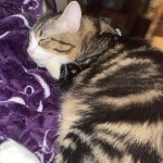 View Gallery Image #1