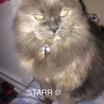 View Gallery Image #3