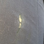 View Gallery Image #6