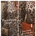 Sage Mini Bag SLG1004798 Fossil