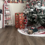 View Gallery Image #6