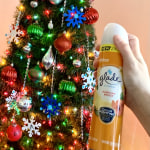 View Gallery Image #12