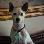 View Gallery Image #3