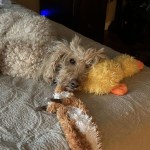 View Gallery Image #3