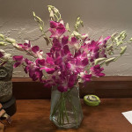 Exotic Breeze™ Orchids | 1800Flowers.com - 146802